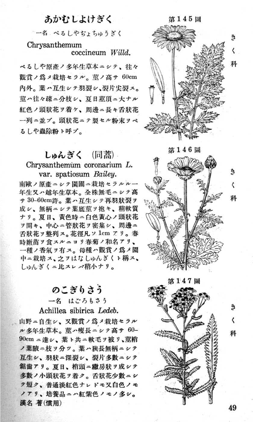 植物図鑑