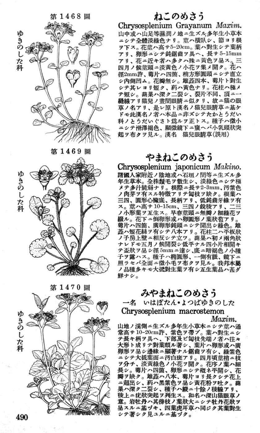 植物図鑑