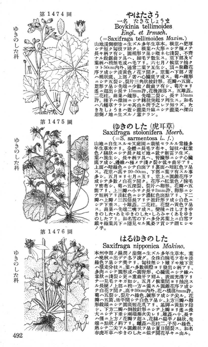 植物図鑑