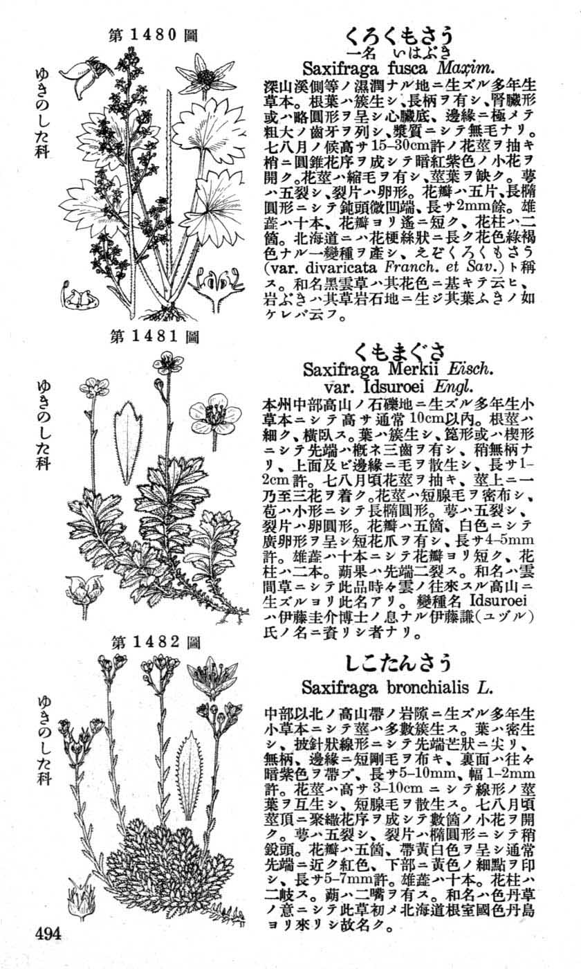 植物図鑑