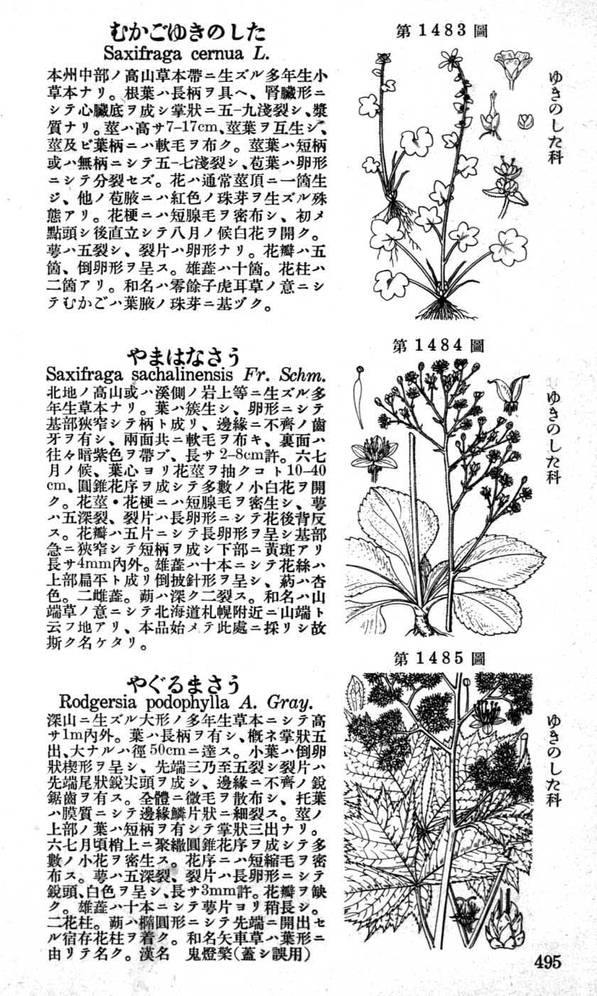 植物図鑑