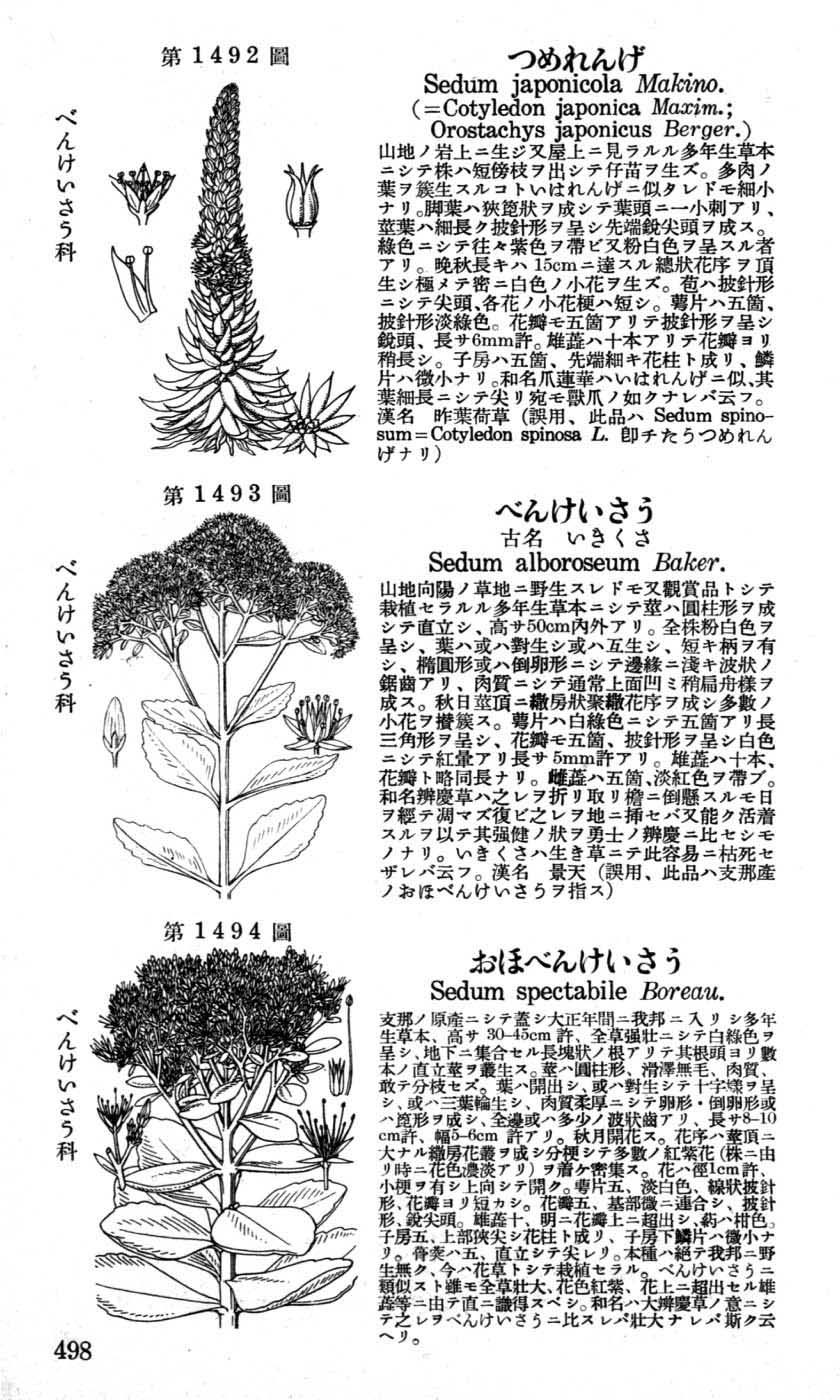 植物図鑑