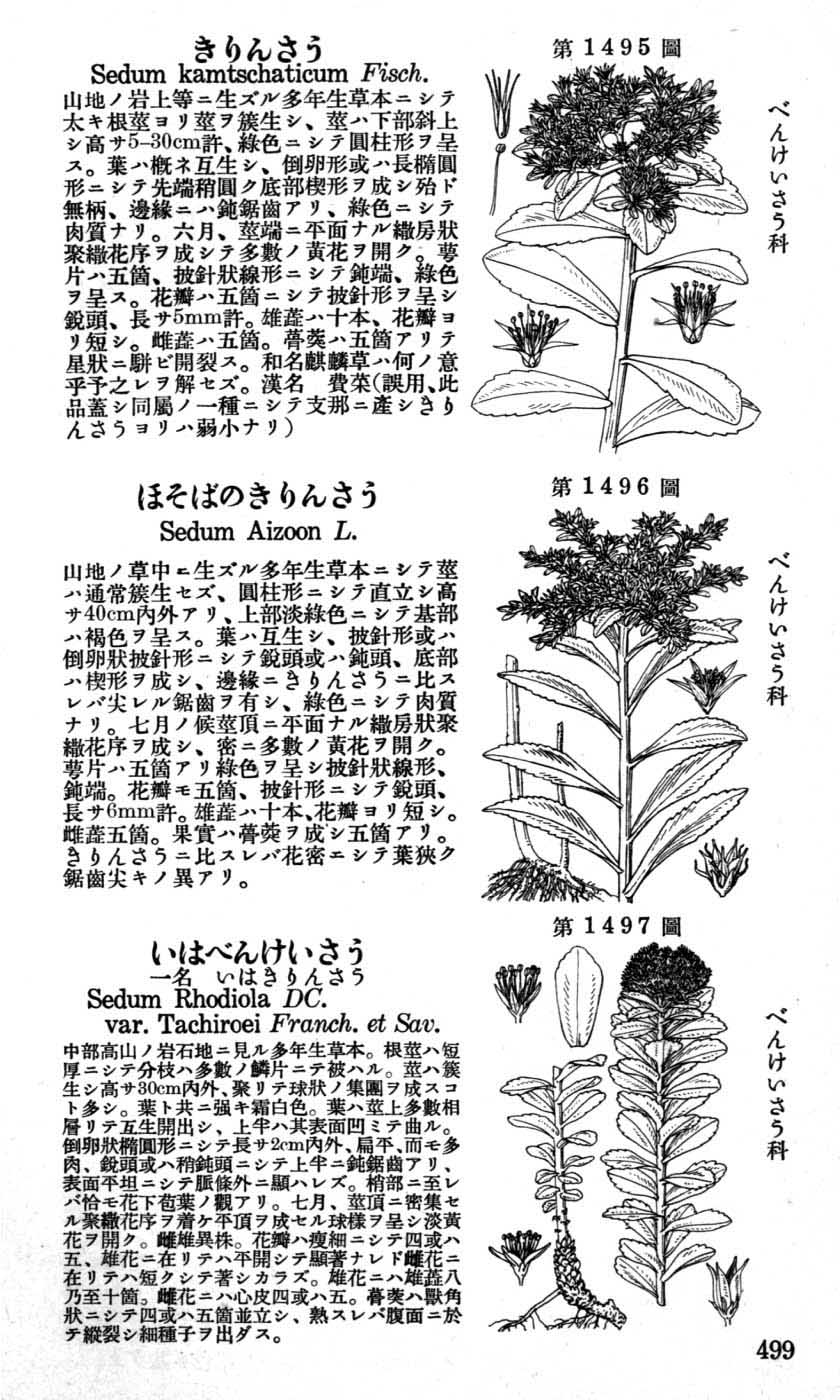 植物図鑑