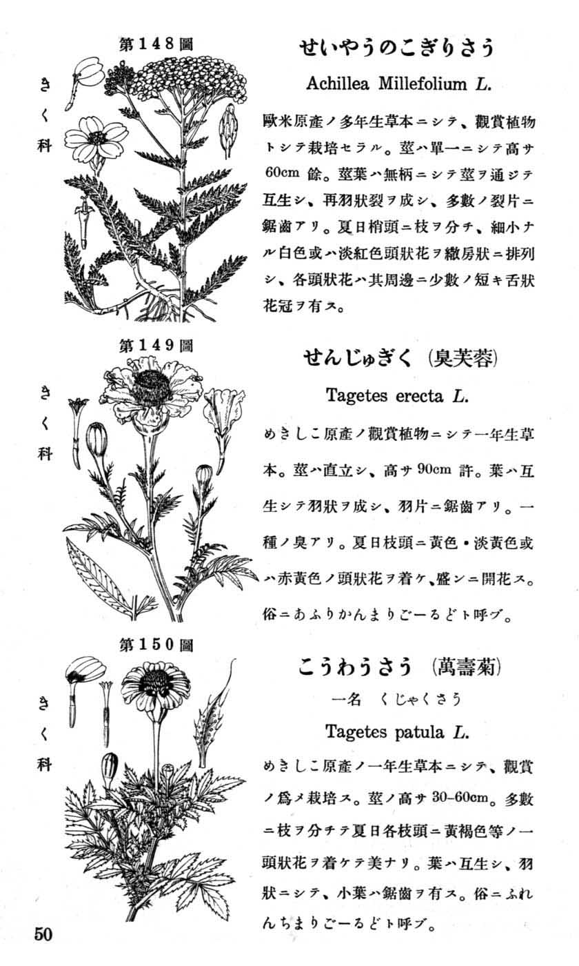 植物図鑑