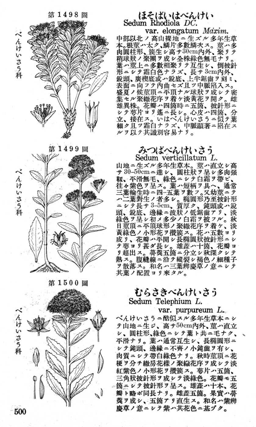 植物図鑑