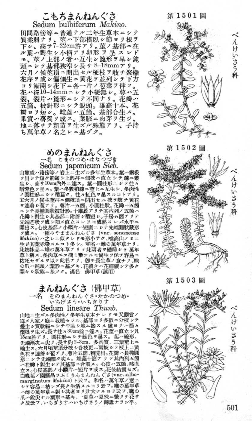 植物図鑑