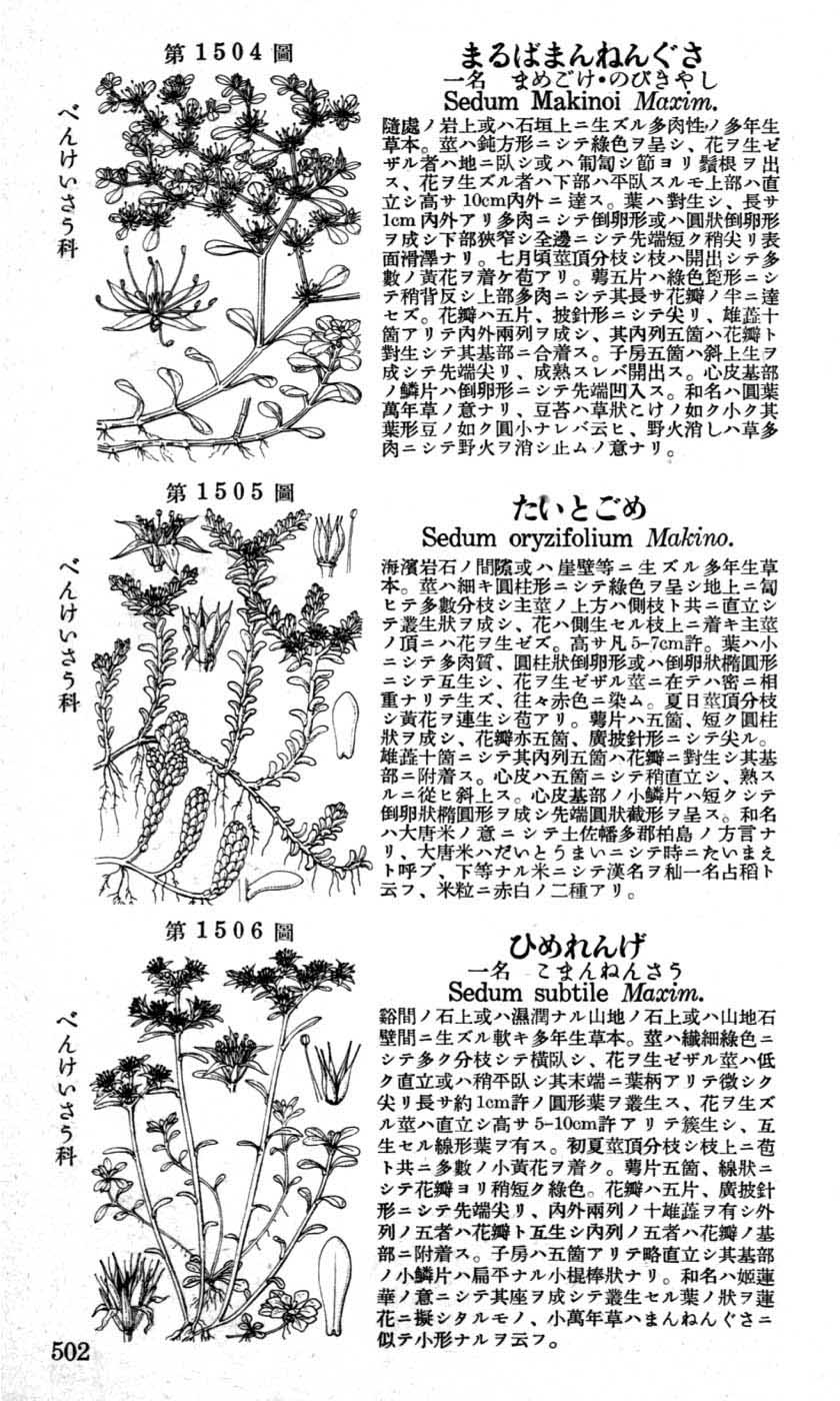 植物図鑑