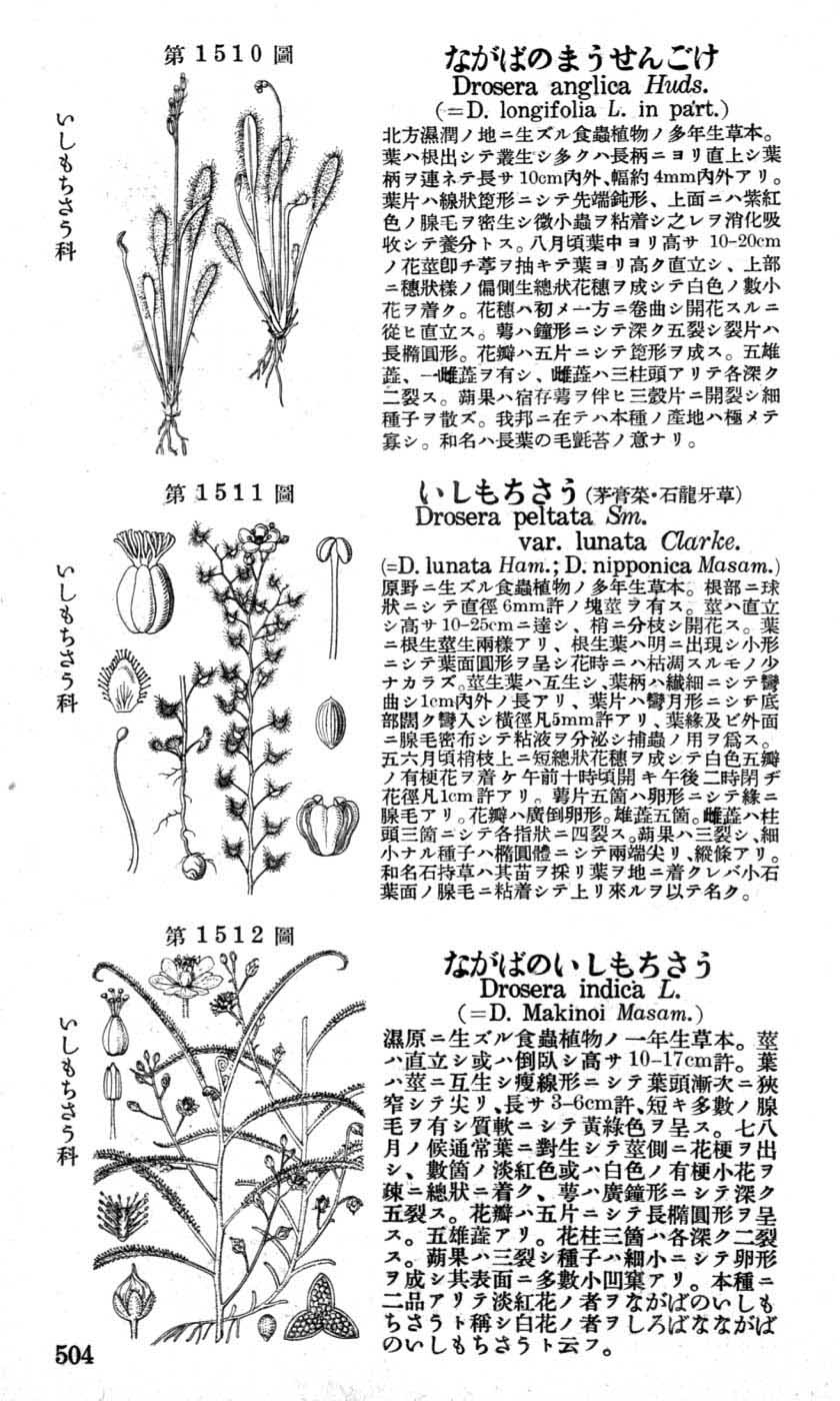 植物図鑑