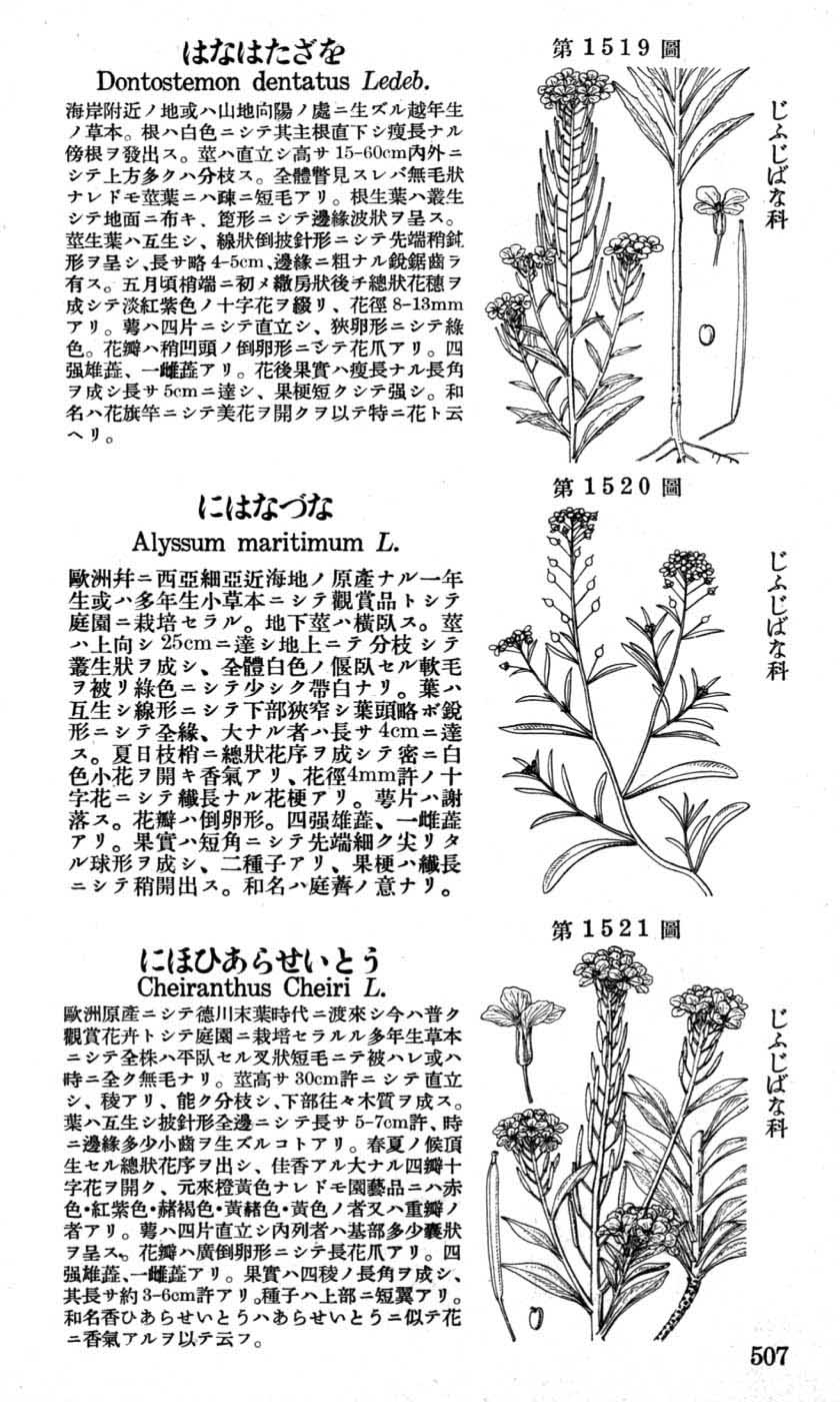 植物図鑑