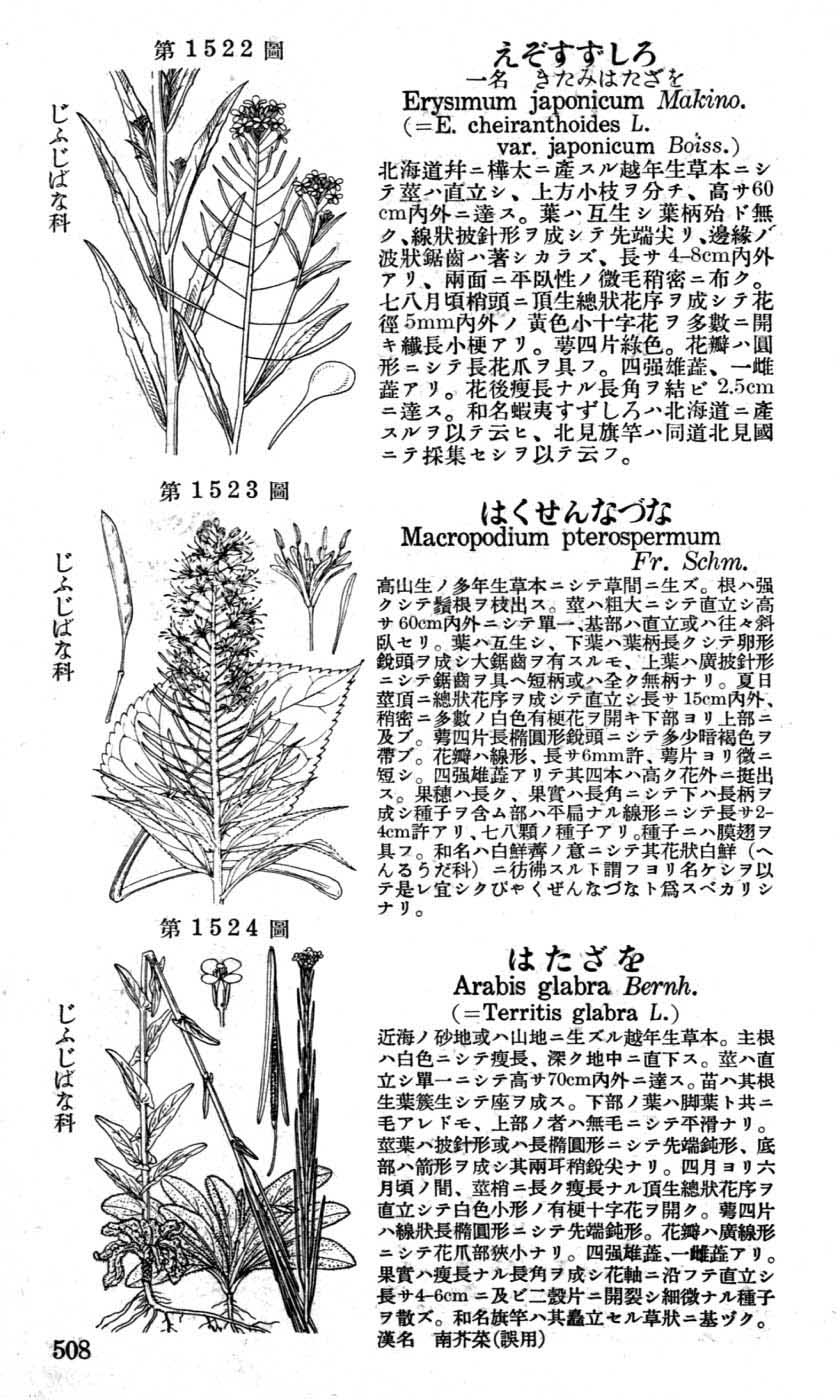 植物図鑑