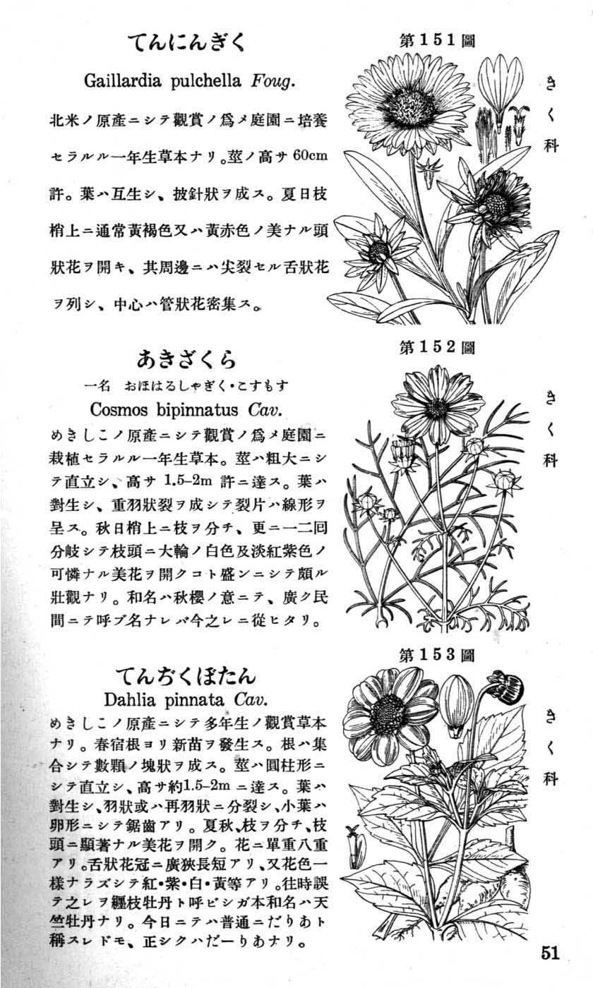 植物図鑑