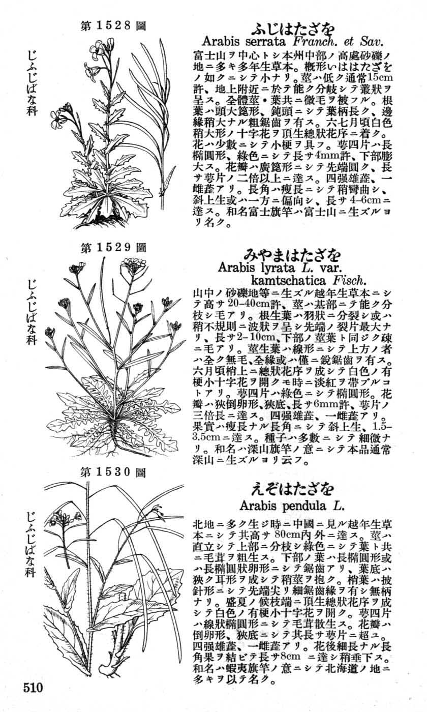 植物図鑑