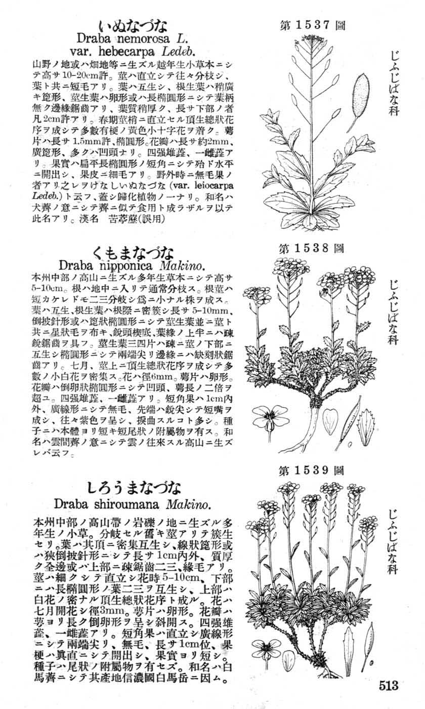 植物図鑑