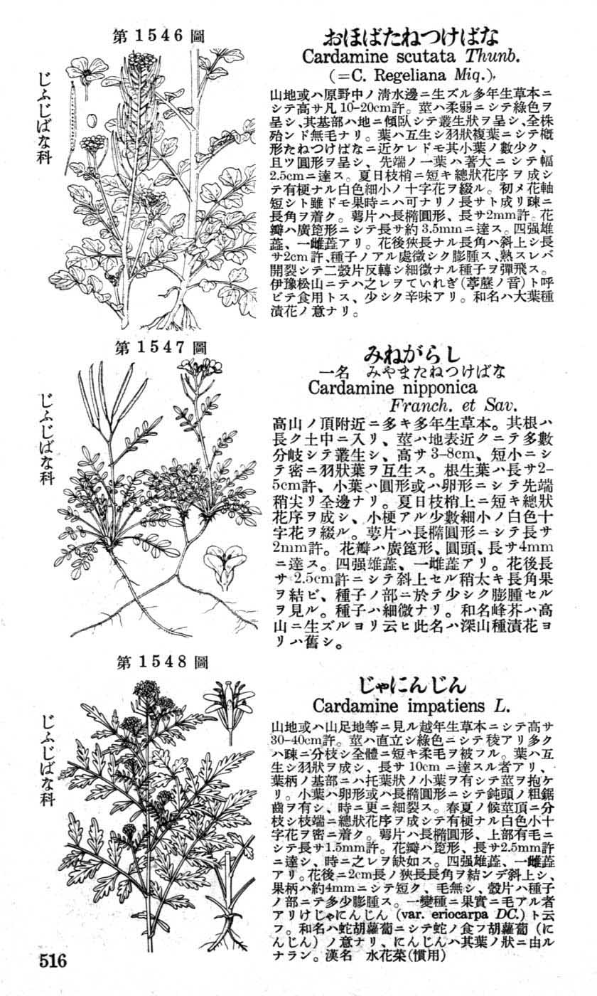 植物図鑑