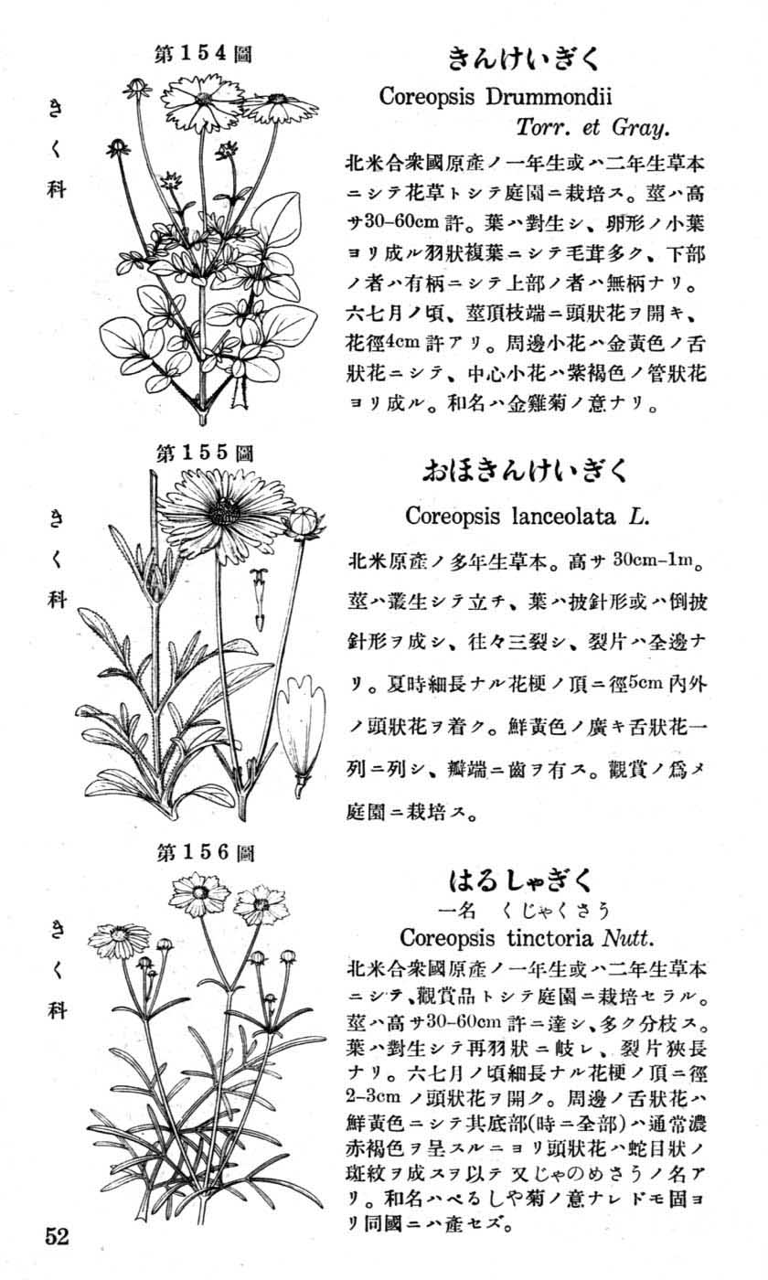 植物図鑑