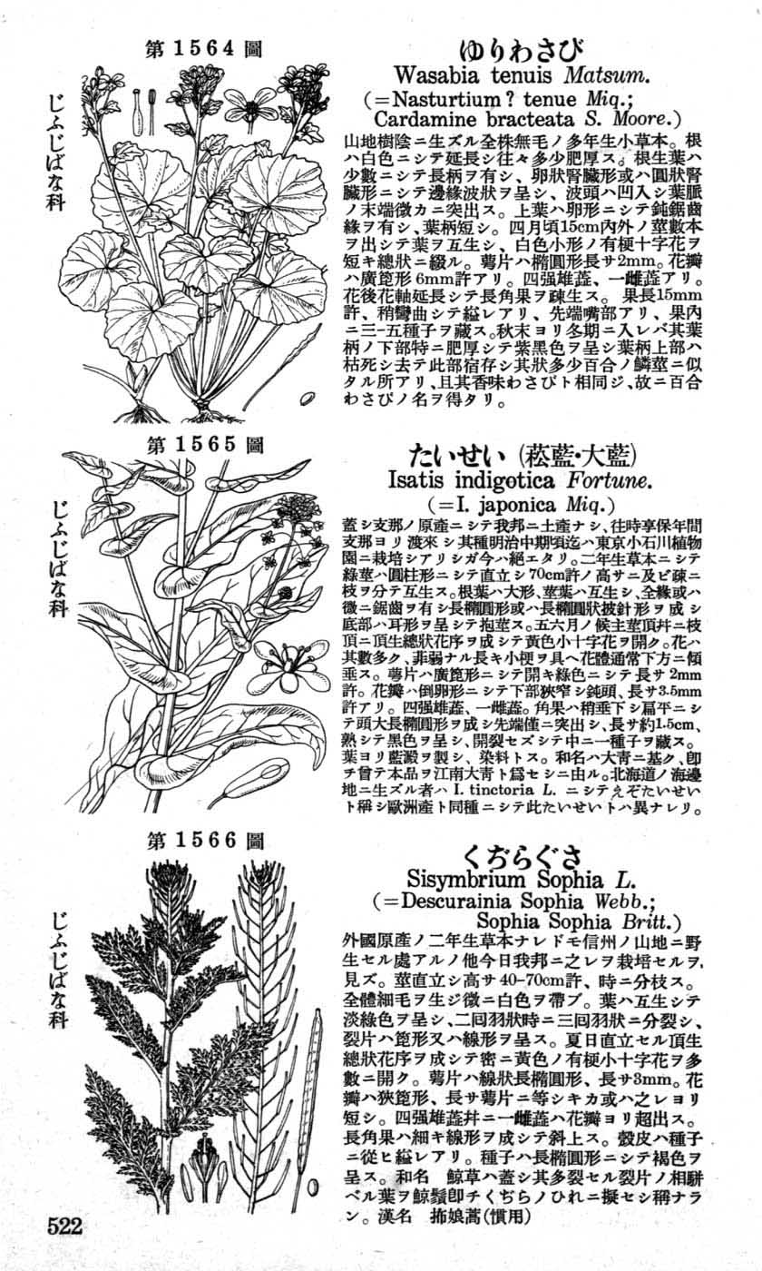 植物図鑑