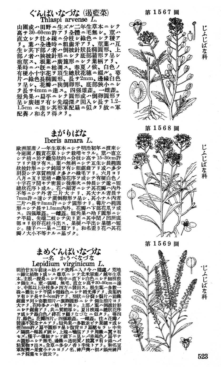 植物図鑑