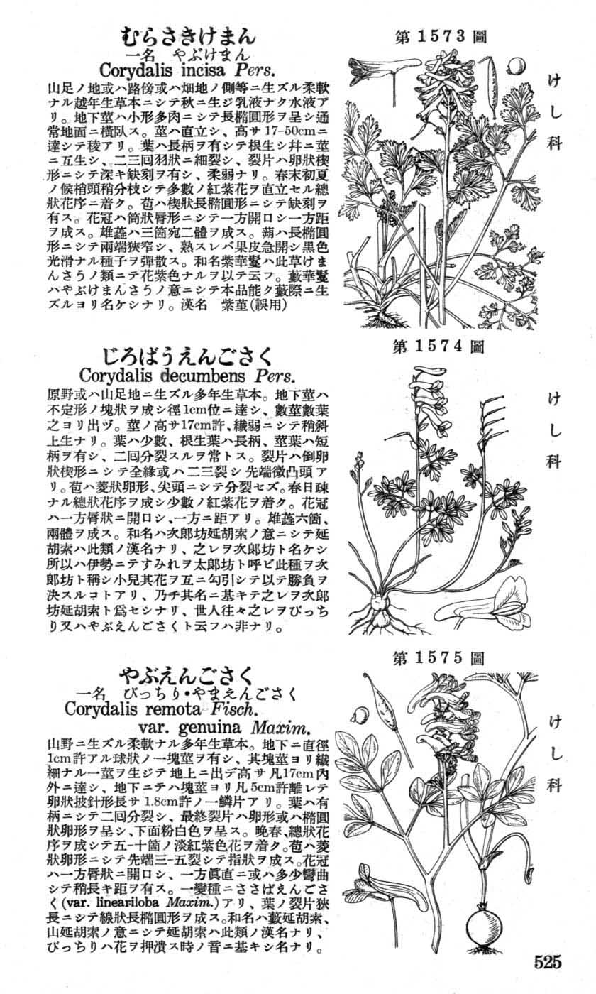 植物図鑑