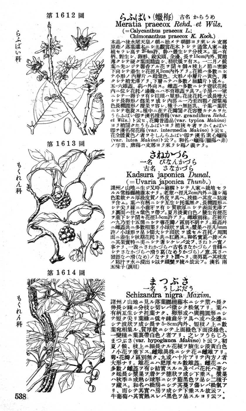 植物図鑑