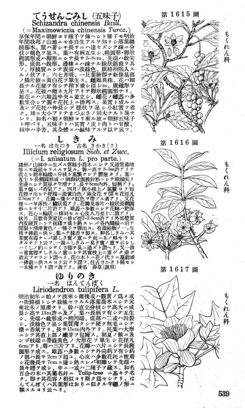 植物図鑑