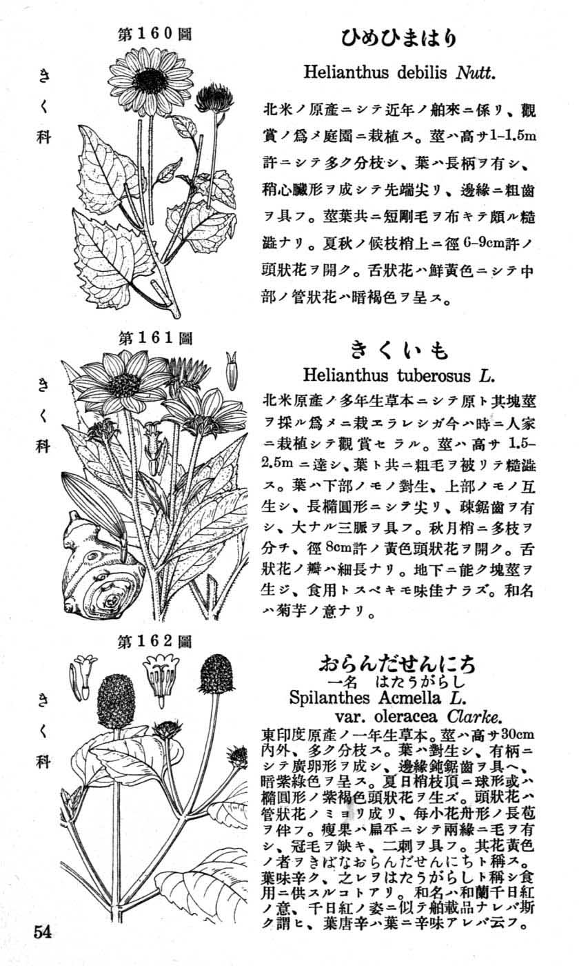植物図鑑