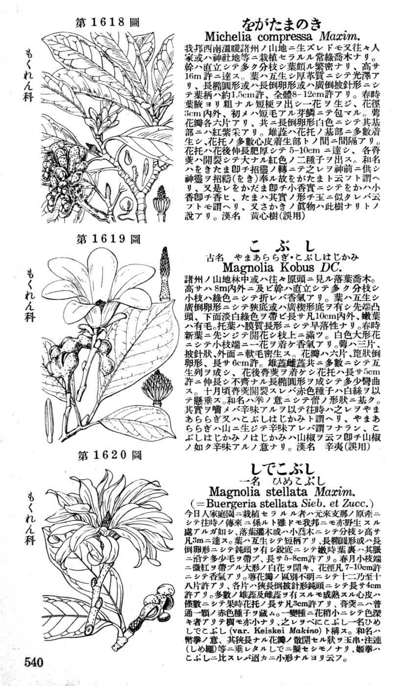 北陸館 学生版 牧野日本植物図鑑 日本動物図鑑 日本高山植物 日本