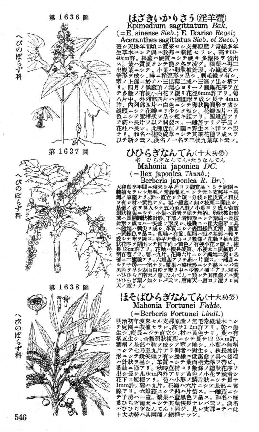 植物図鑑