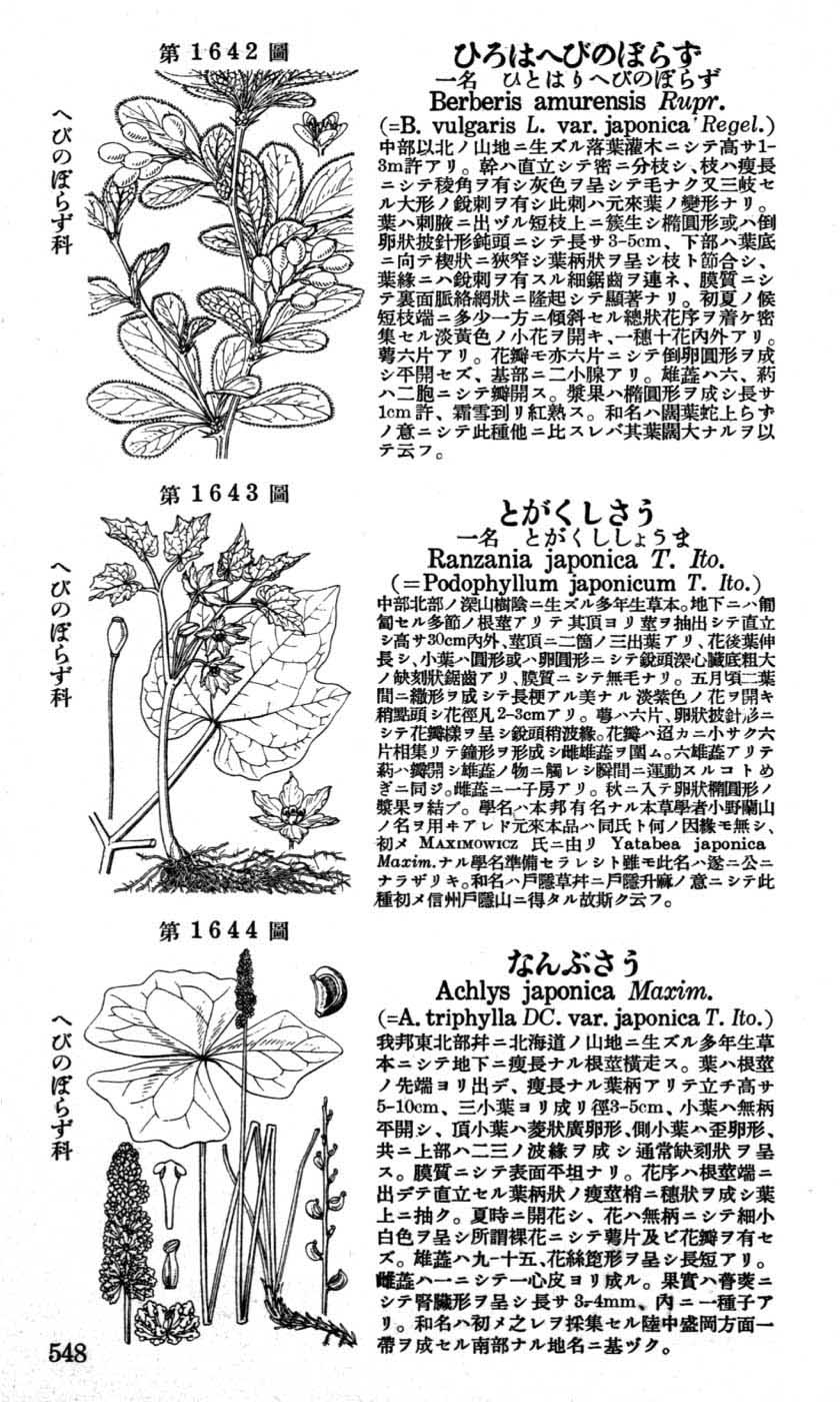 植物図鑑