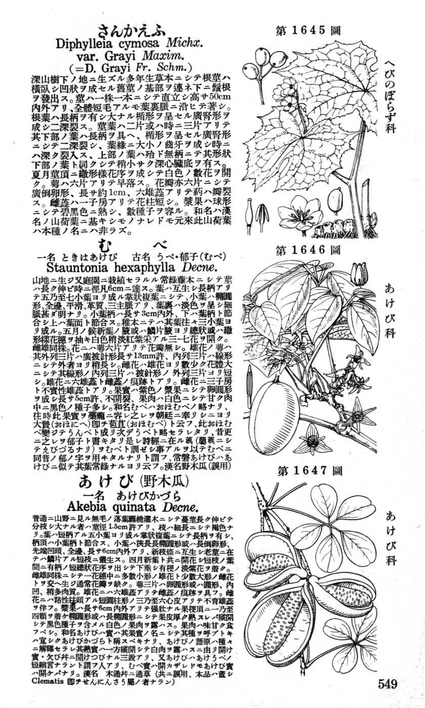 植物図鑑