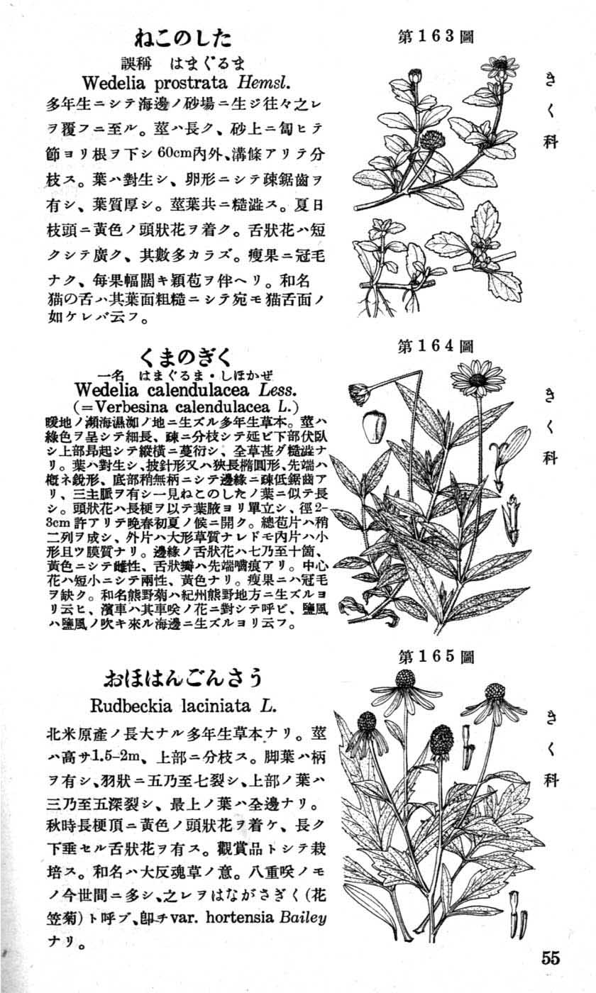 植物図鑑