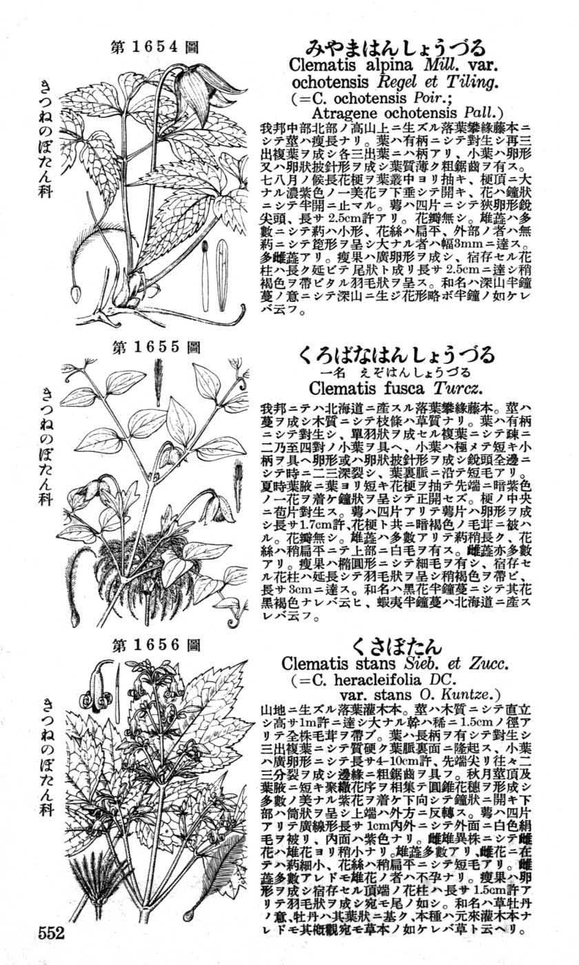 植物図鑑