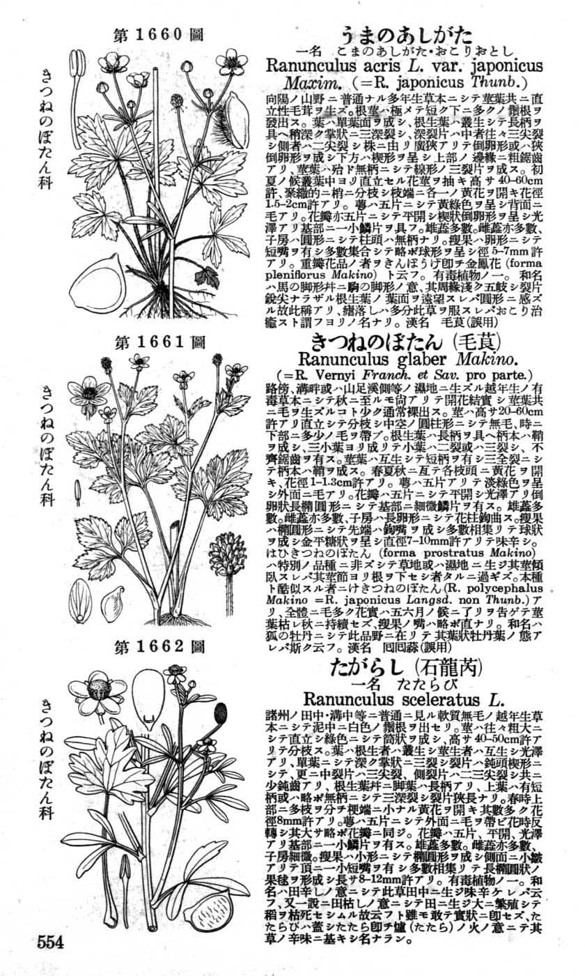 植物図鑑