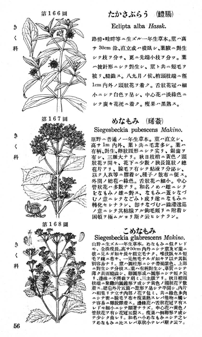 植物図鑑