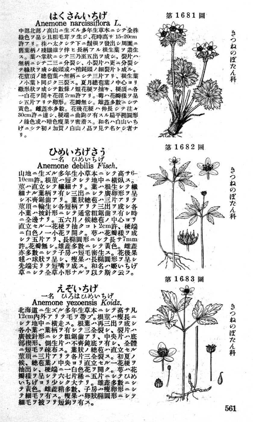 植物図鑑