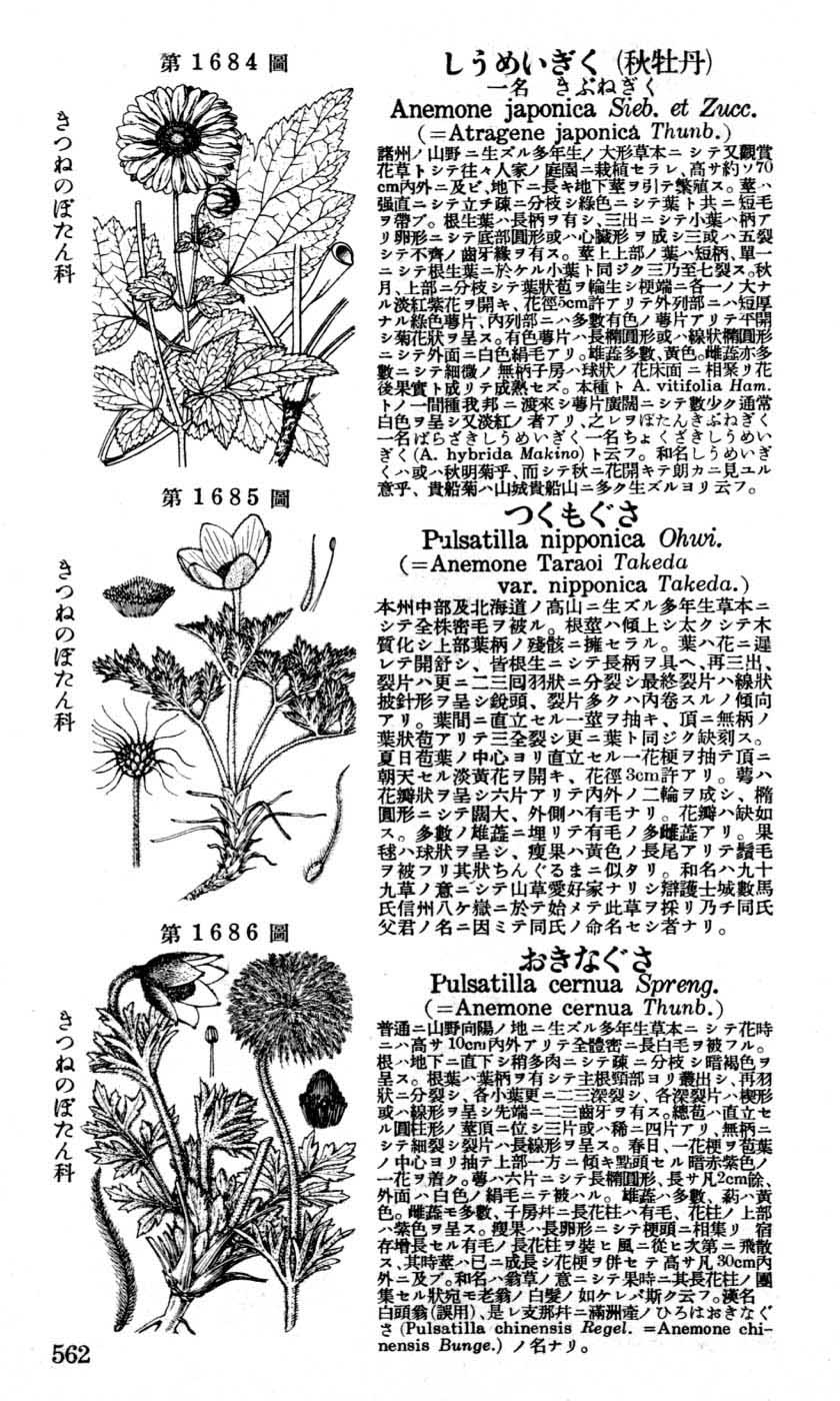 植物図鑑