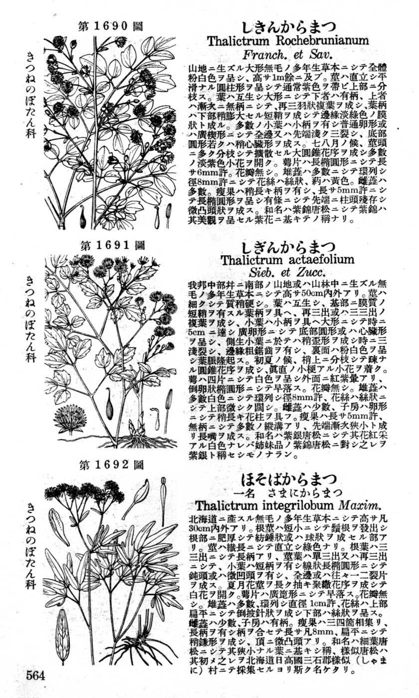 植物図鑑