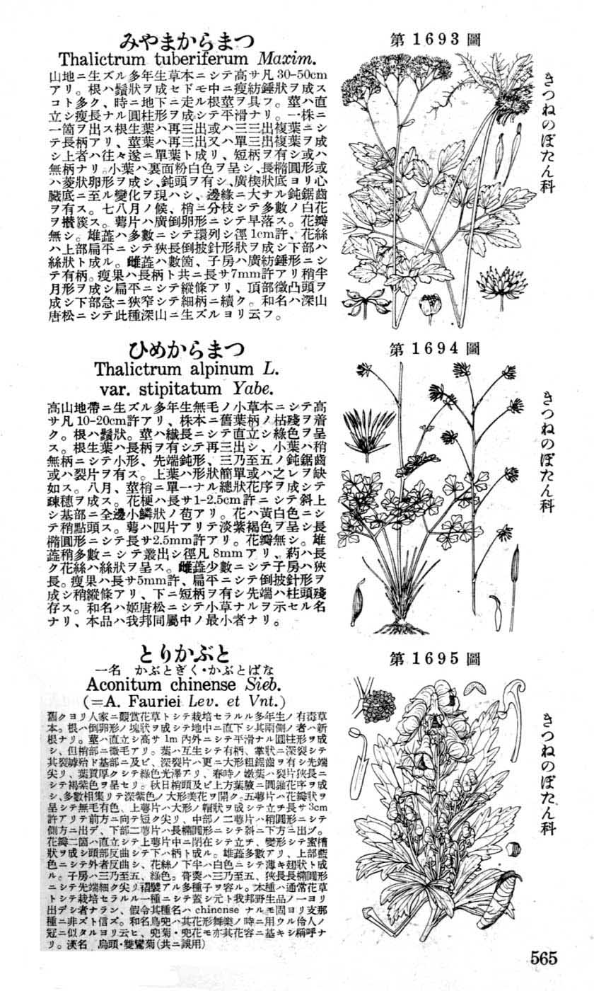 植物図鑑