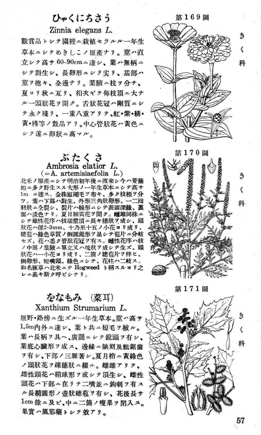 植物図鑑