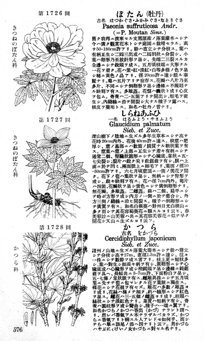 植物図鑑