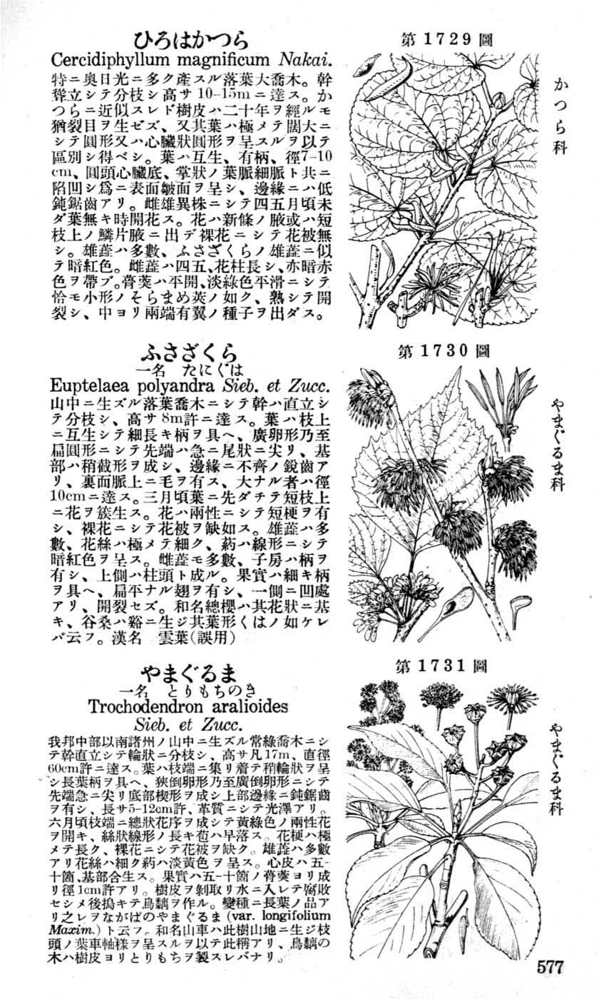 植物図鑑