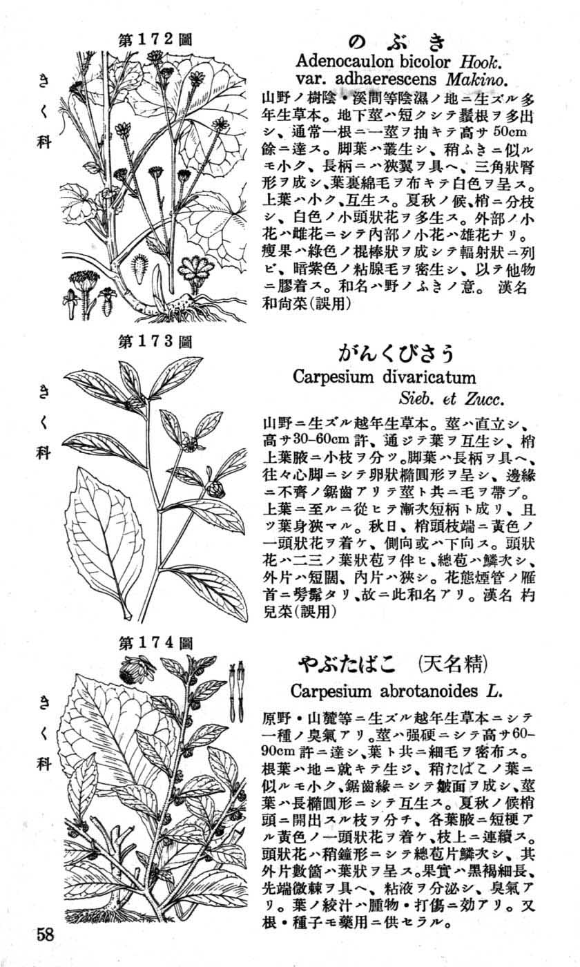 植物図鑑