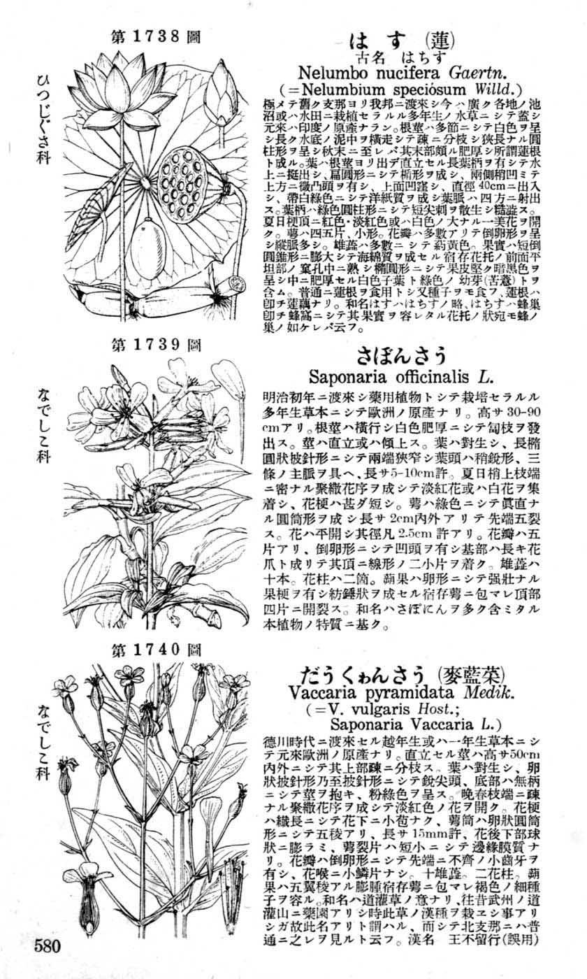 植物図鑑