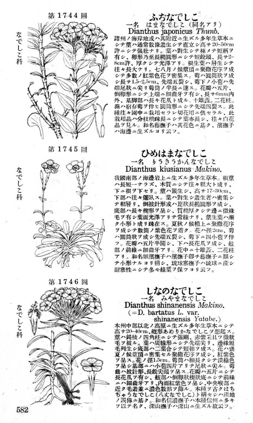 植物図鑑