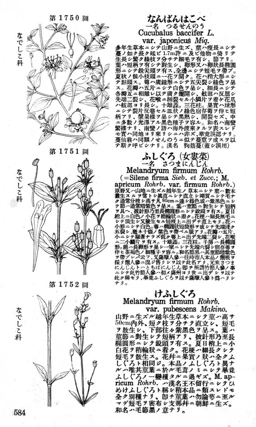 植物図鑑