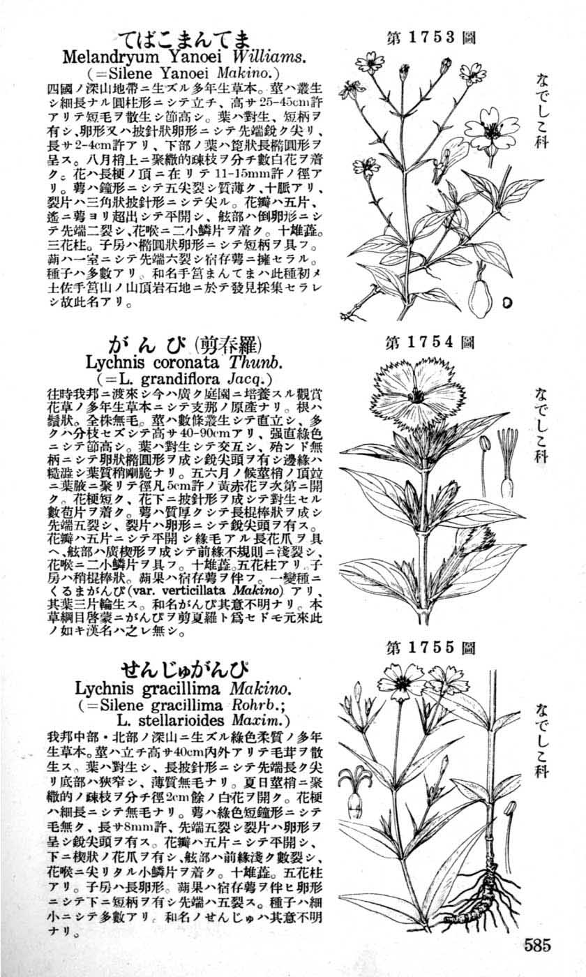 植物図鑑