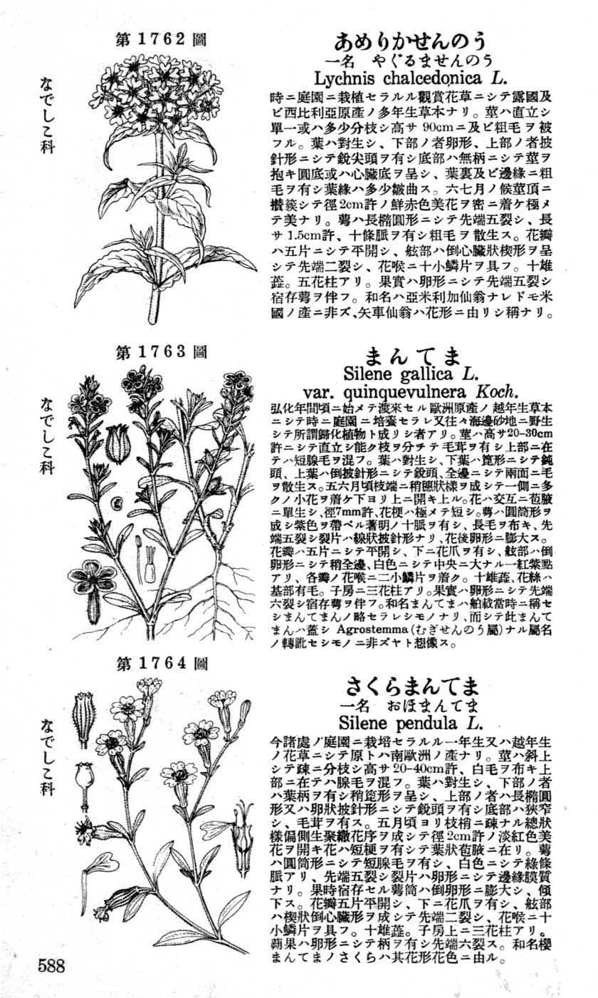 植物図鑑