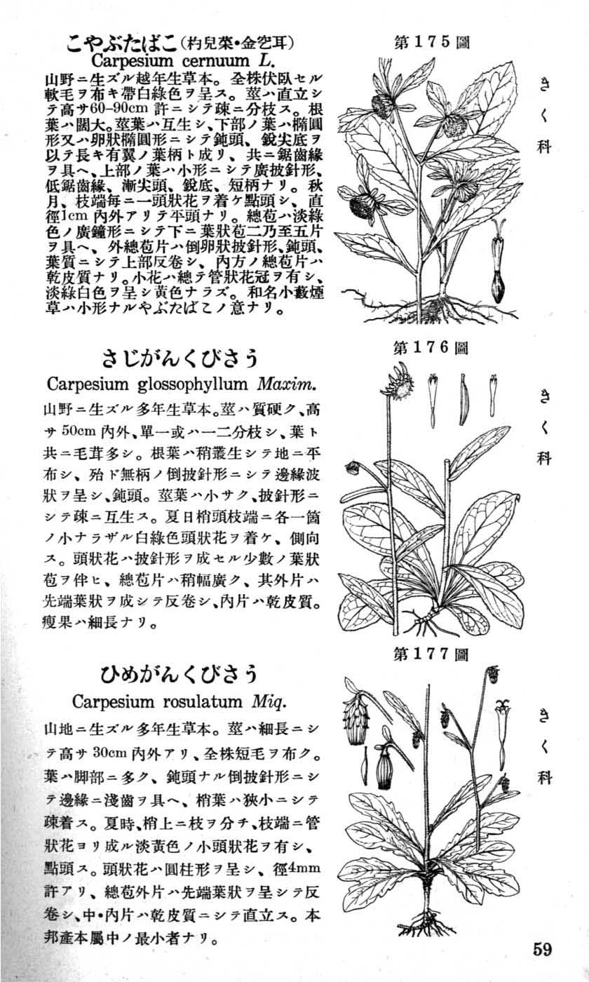 植物図鑑