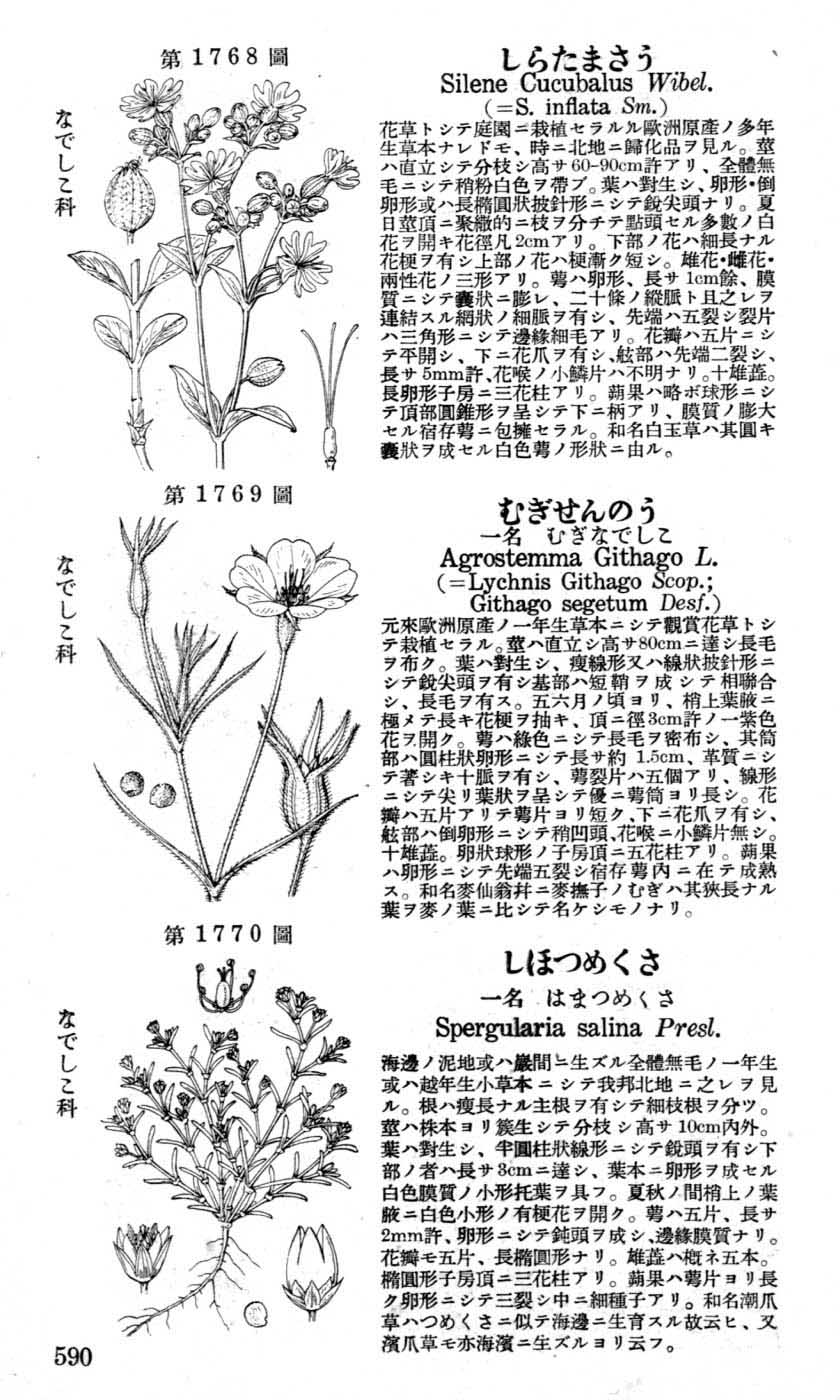 植物図鑑