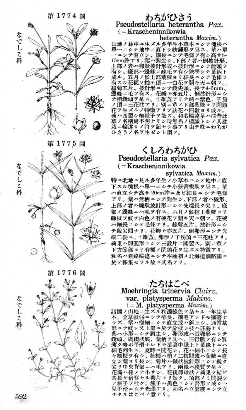 植物図鑑