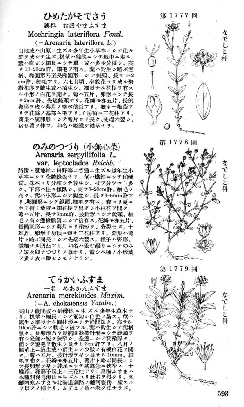 植物図鑑